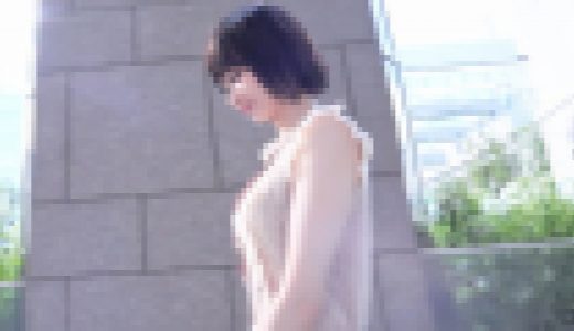 【限定公開】2023年ミスコン上位入賞した某難関H大学法学部19歳。高額報酬で成立した秘蔵ハメ撮り記録。中出し→ノンストップ即ズボで悶絶潮吹き。