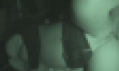 流出極秘映像 深夜のカーセックスを赤外線撮影 S県スポット駐車場